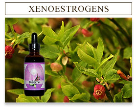 Click Here for xenoestrogens